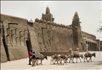 Timbuktu preferred method of transport, Mali, W. Africa
